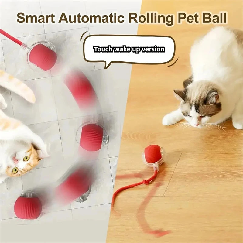 PurrMotion Smart Ball