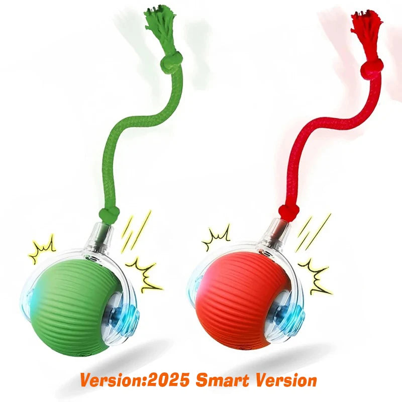 PurrMotion Smart Ball
