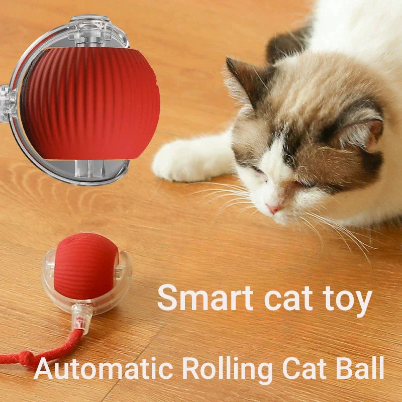 PurrMotion Smart Ball