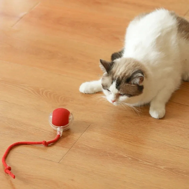 PurrMotion Smart Ball