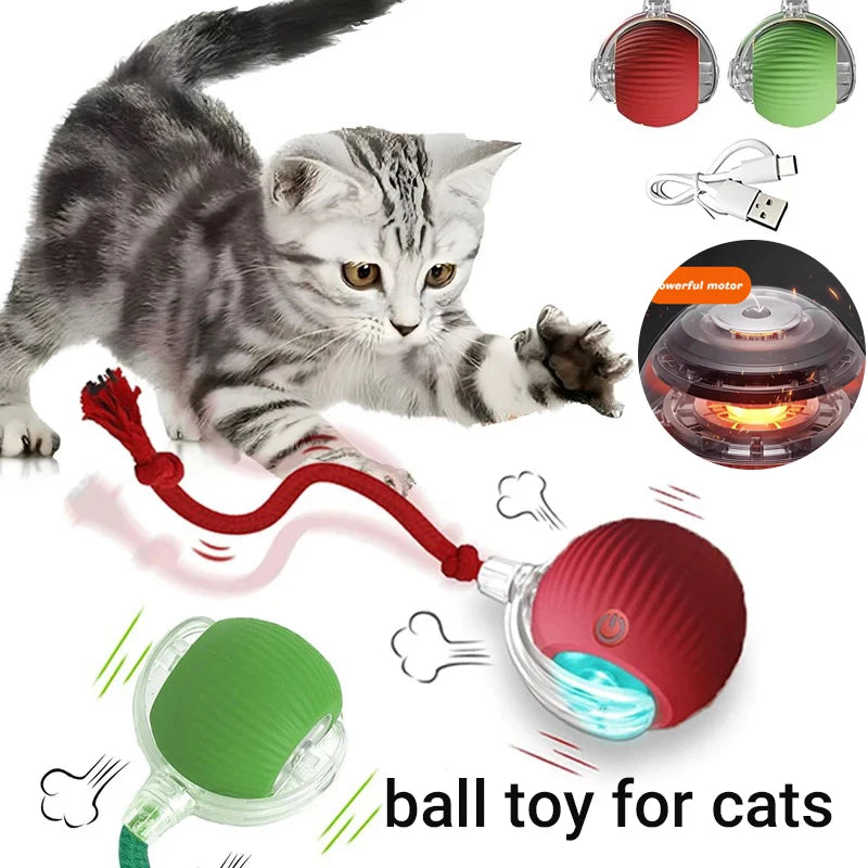 PurrMotion Smart Ball