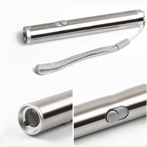 Pet Laser Pointer & Chaser – Fun LED Cat