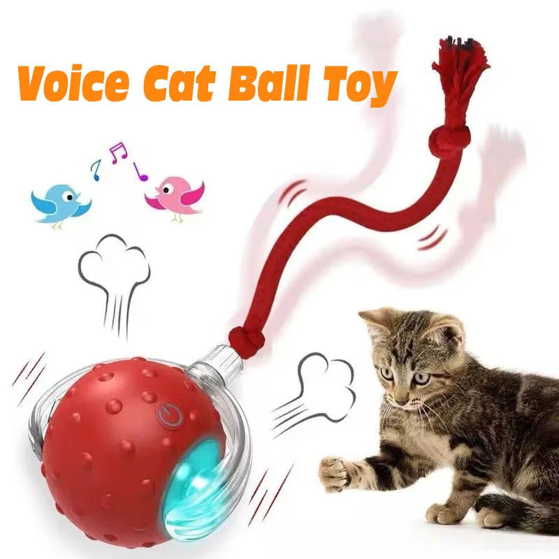 PurrMotion Smart Ball