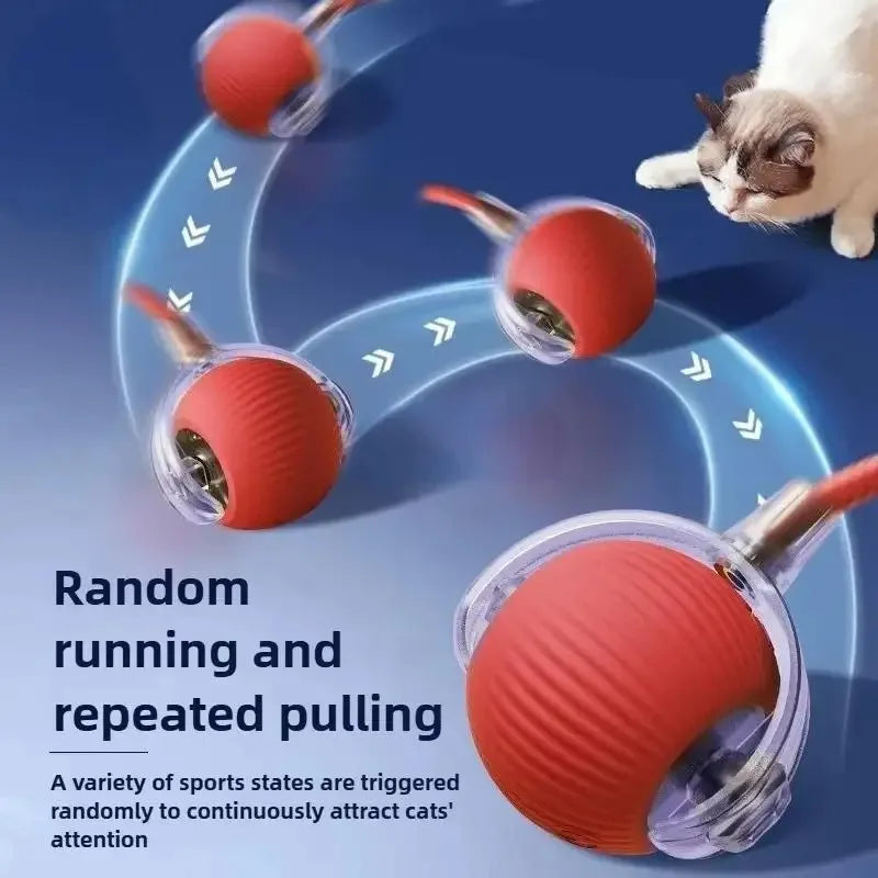 PurrMotion Smart Ball