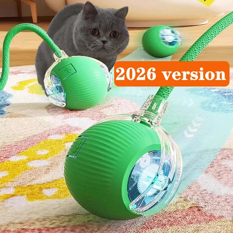 PurrMotion Smart Ball